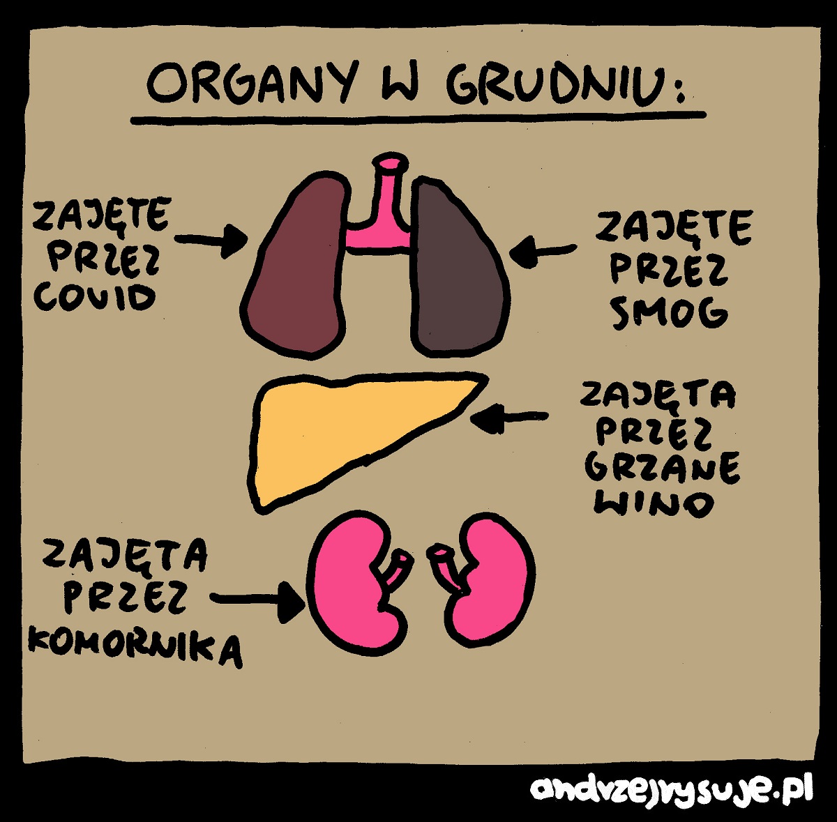 organy